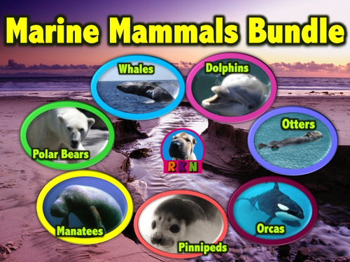 Marine Mammal Bundle - PowerPoints