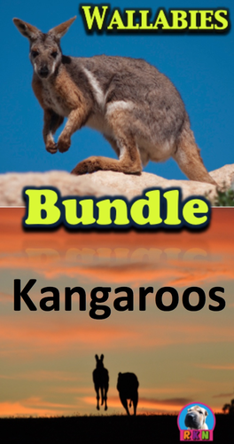 Kangaroos and Wallabies Bundle - PowerPoints