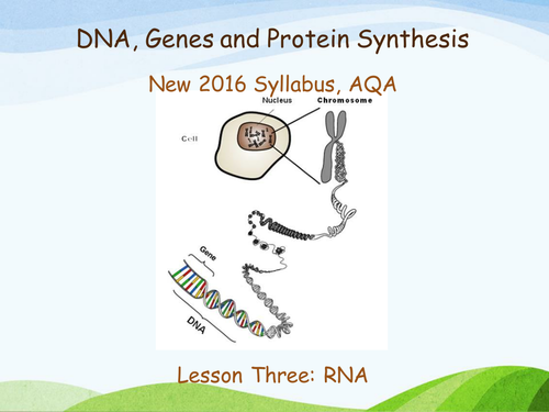 New AQA (2016) Year 1 Biology (AS) - RNA and Transcription- Flipped Learning