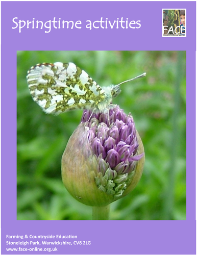 Springtime activities