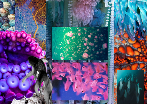 Marine Life AQA GCSE Design Technology Textiles Exam Prep 2016