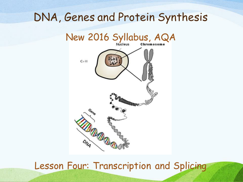 New AQA (2016) Year 1 Biology (AS) - Transcription and Splicing - Flipped Learning