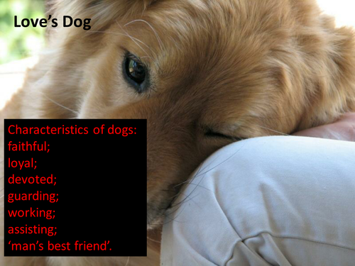 Edexcel Literature Poetry (Relationships) - 'Love's Dog' by Jen Hadfield