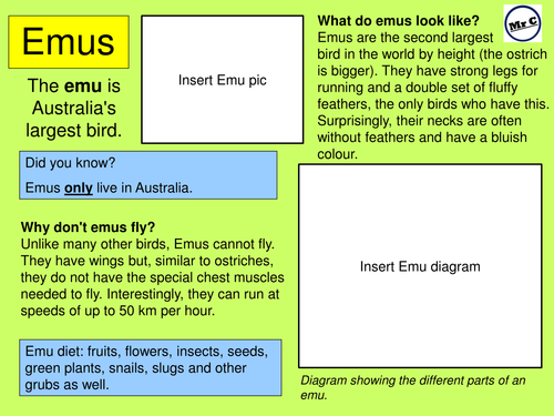 Year 2 Information Text Writing Model - Emus (Spring/Summer term)