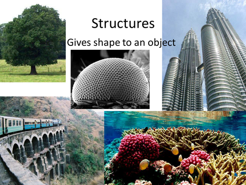 Structures, Bridges and Biomimicry
