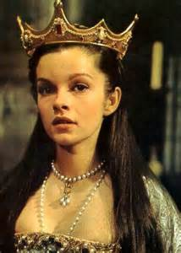PERSUASIVE WRITING - ANNE BOLEYN TO HENRY VIII