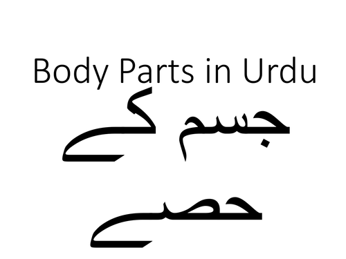 Body Parts and Illnesses in Urdu