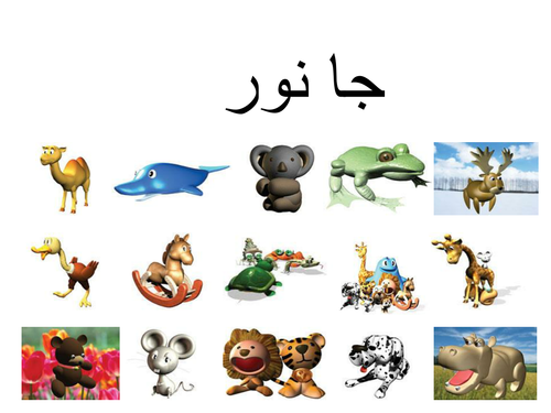 Animals in Urdu | Teaching Resources