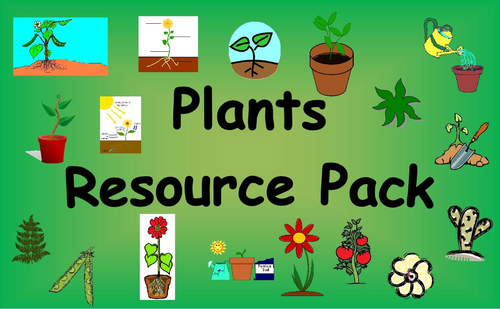 Plants - Growing Green Plants. Lower Key Stage 2 Resource Pack