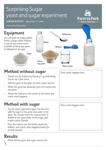 Yeast and sugar experiment (5-7) | Teaching Resources