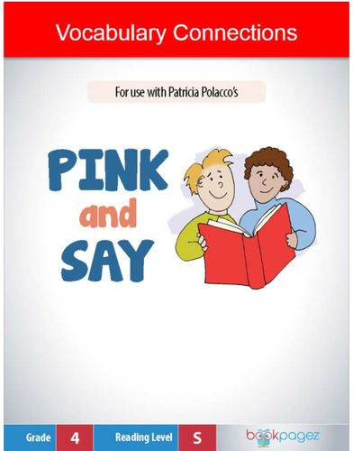 Pink and Say Vocabulary Connections, Fourth Grade