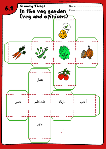 Arabic Worksheets - Sentence Building Dice