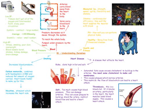 OCR Gateway B1 Revision PPT/Resource
