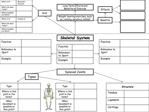 Edexcel GCSE PE Body Systems Worksheets