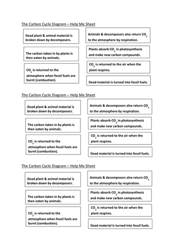 The Carbon Cycle - AQA B1