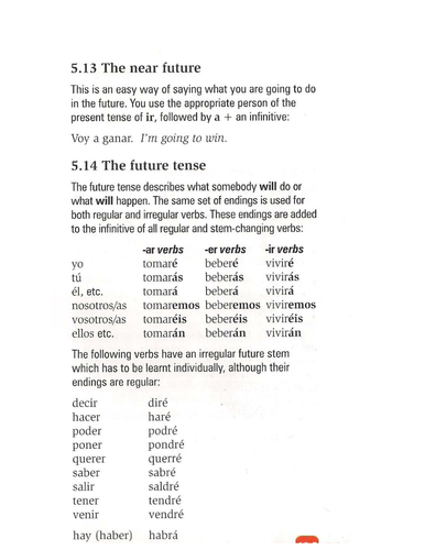 Future tense information sheet/translation/test
