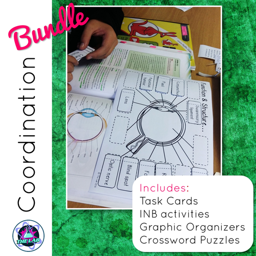 Coordination in Humans BUNDLE