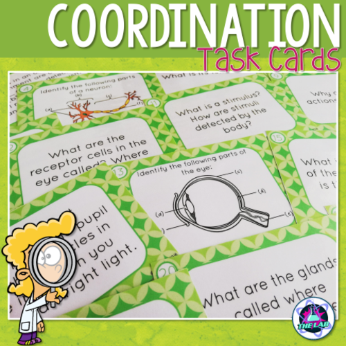 Coordination in Humans Task Cards