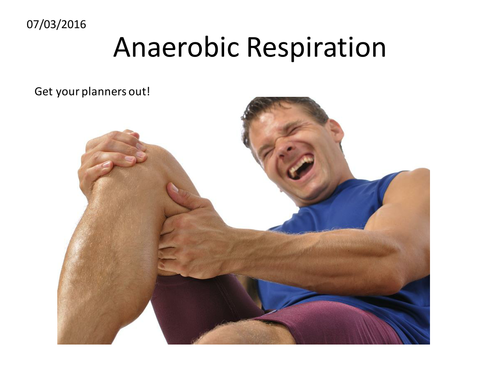 Anaerobic Respiration