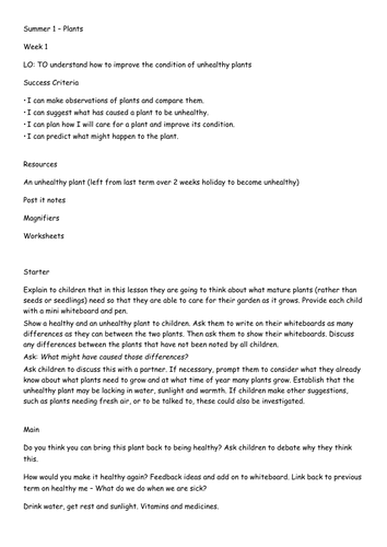 science year 2 plans 7 weeks plans Plants and living things