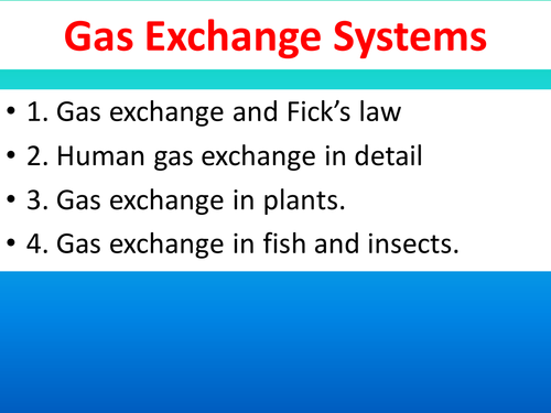 Gas Exchange in humans, fish, insects and plants plus the role of haemoglobin: PPT and booklet