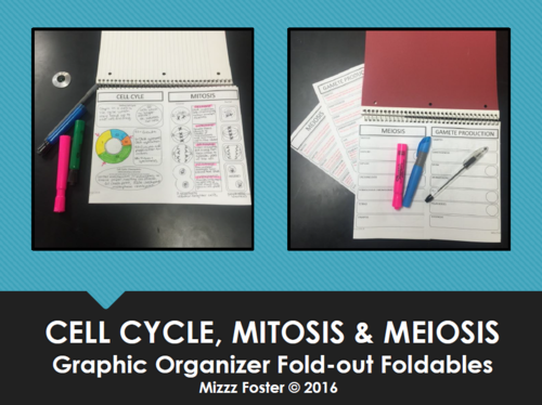 Cell Cycle, Mitosis & Meiosis Graphic Organizer Foldout Foldables