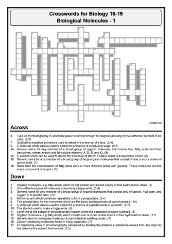 BioA_Crosswords - Set 1 (Answers Provided)