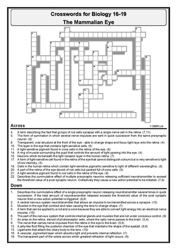BioA_Crosswords - Set 3 (Answers Provided)