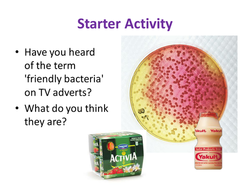 Bacteria & Enzymes in digestion - NEW KS3