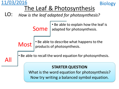 Leaf & Photosynthesis - NEW KS3
