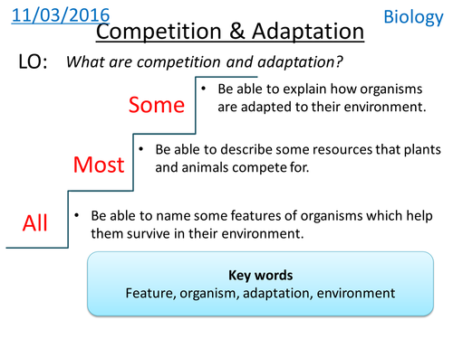 Competition & Adaptation - NEW KS3