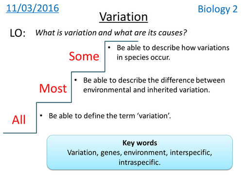 Variation - NEW KS3