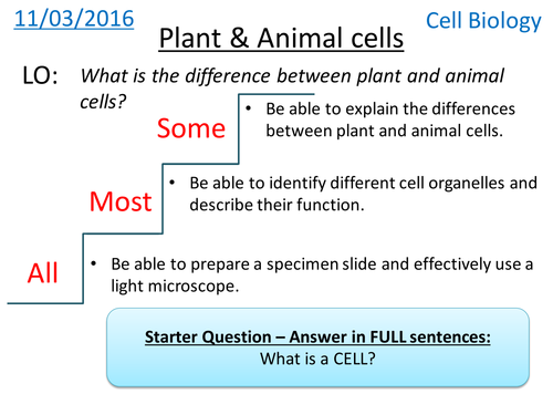 Plant and Animal Cells - Cell Biology - NEW GCSE | Teaching Resources