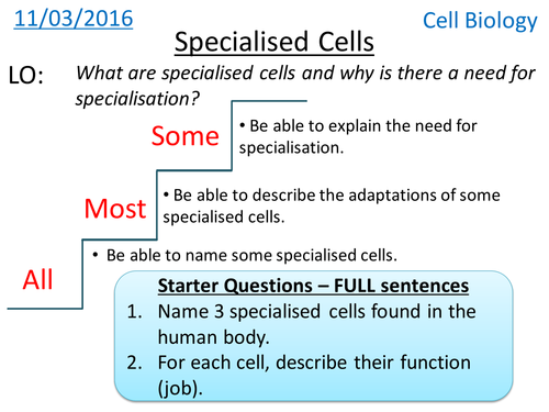 Specialised cells - Cell biology - NEW GCSE