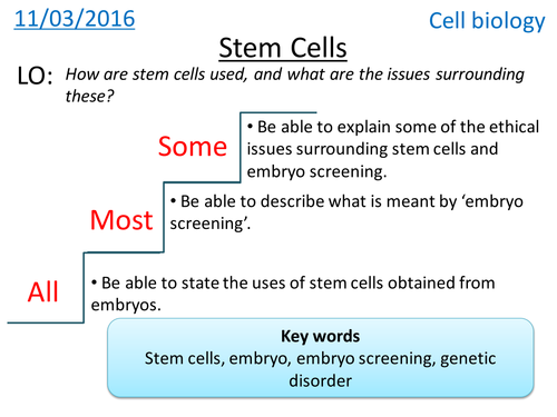 Stem cells - Cell Biology - NEW GCSE