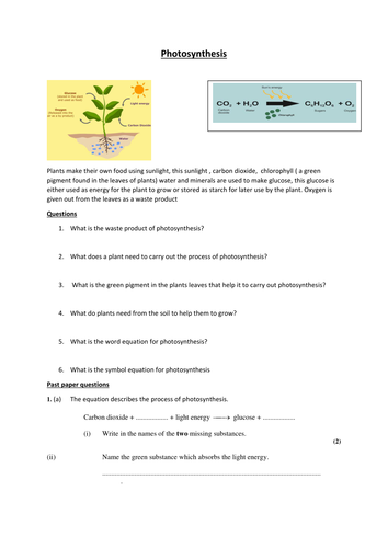 PHOTOSYNTHESIS 