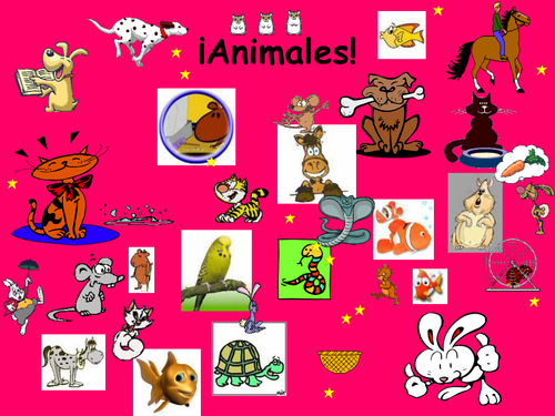 Spanish Teaching Resources. Animals / Pets PowerPoint Presentation & Battleships Game.