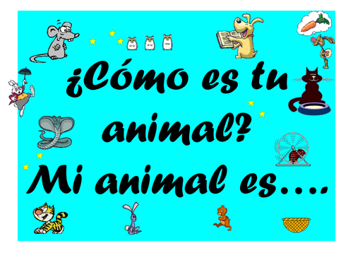 Spanish Teaching Resources: Colours & Adjectives To Describe Pets/ Animals.  | Teaching Resources