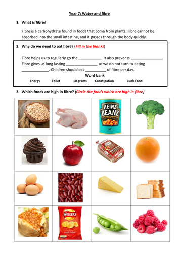 Worksheet on fibre and water