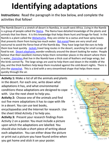 Identifying Adaptations - Research project, with writing frame