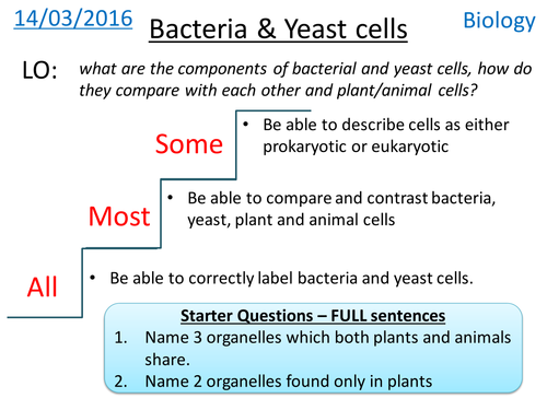 yeast cell diagram gcse