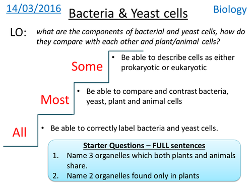 Bacteria & Yeast cells - NEW GCSE