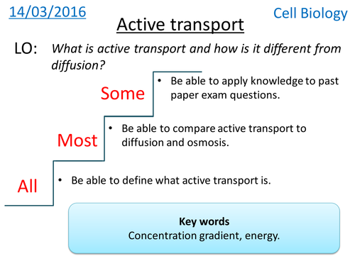 Active Transport - NEW GCSE