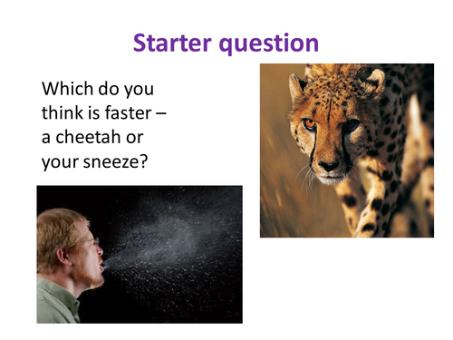 Speed & Motion Graphs - NEW KS3