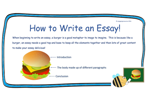 Assignment writing – Essay and Report  