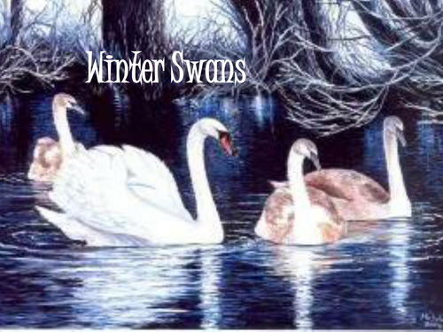 Edexcel Literature Poetry (Relationships) - 'Winter Swans' by Owen Sheers