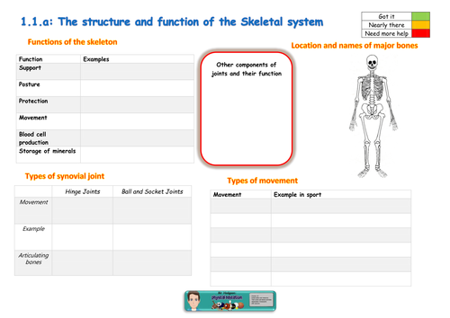 ocr-gcse-pe-new-spec-2016-topic-on-a-page-mindmaps-teaching-resources