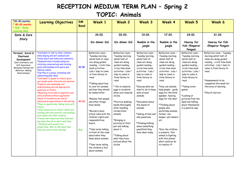 Medium Term Plan on Animals Early Years Foundation Stage