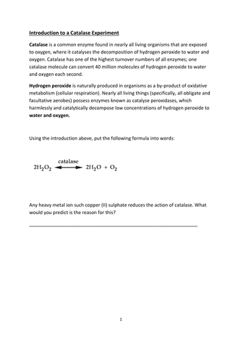 Planning an enzyme experiment: Catalase; For GCSE/A Level/BTEC Biology