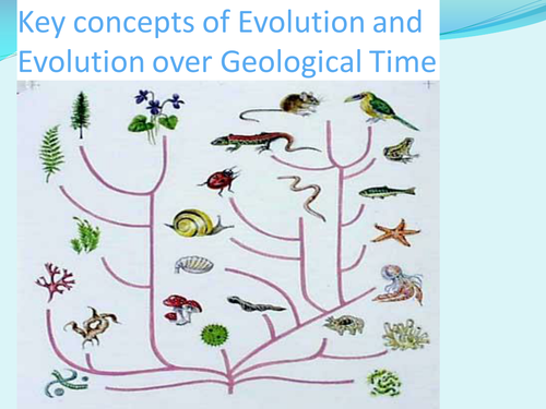 Evolution and Taxonomy: Presentation with Activities: A Level Biology and Similar courses